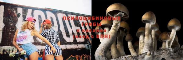 дурь Лагань