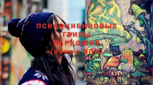 гашик Покачи