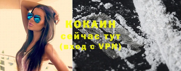дурь Лагань