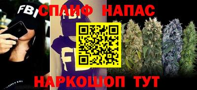 индика Кимры