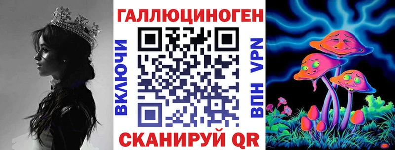 купить наркотик  omg маркетплейс  Псилоцибиновые грибы Cubensis  Новочебоксарск 