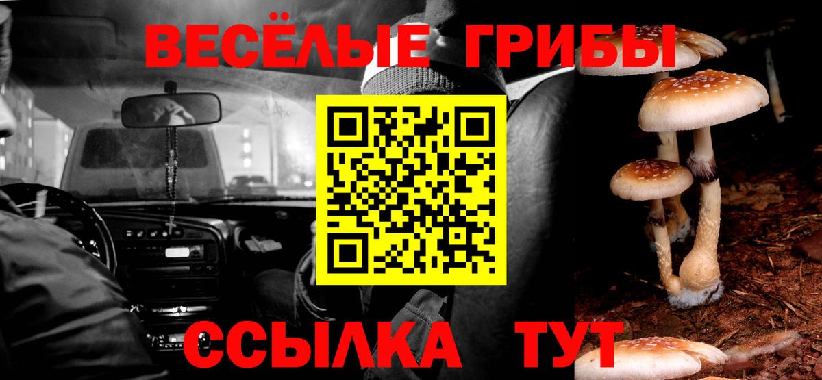 Новочебоксарск  Псилоцибиновые грибы Psilocybe  Вход с VPN 
