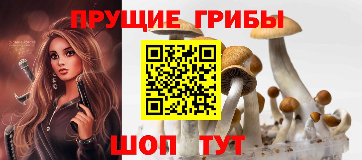 Псилоцибиновые грибы Psilocybe  Новочебоксарск  Псилоцибиновые грибы мухоморы 